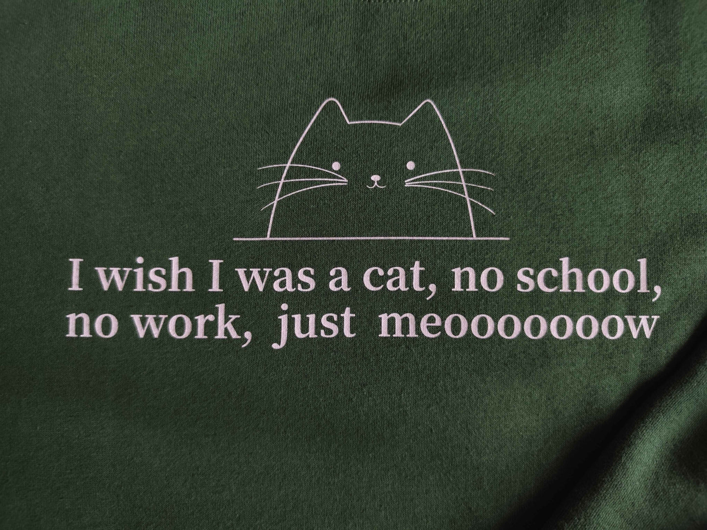 🐱 I wish I was a cat sweatshirt 🐱 (BOBI)