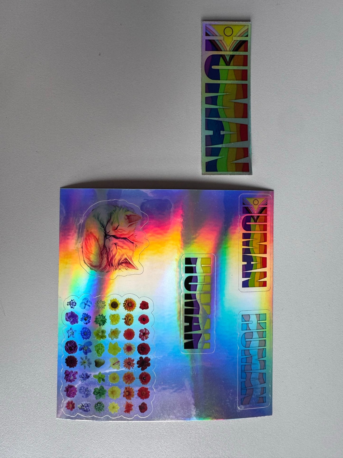 Hologaphic sheet of stickers with HUMAN text in colours of flowing pride flags in size comparison with our standard and individual sticker 
